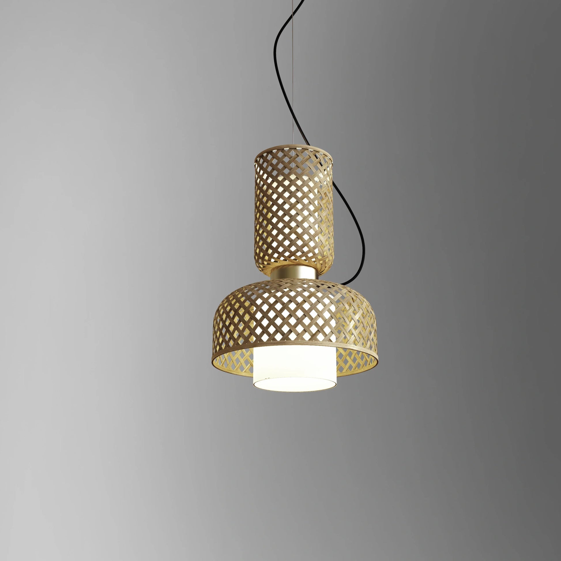 Metamorphosis Pendant Lamp H-011CA