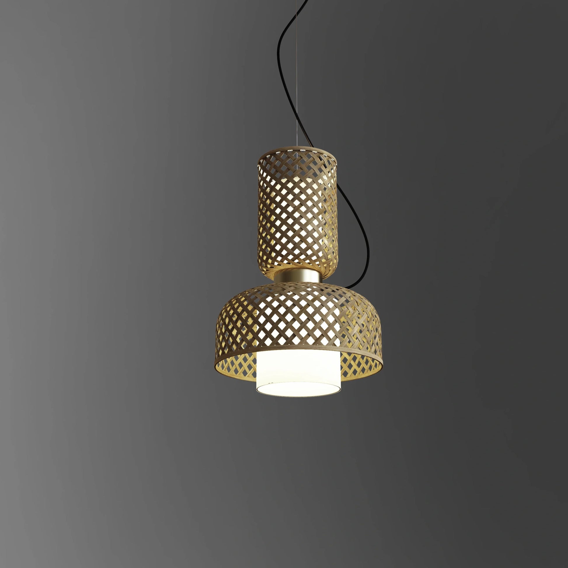 Metamorphosis Pendant Lamp H-011CA