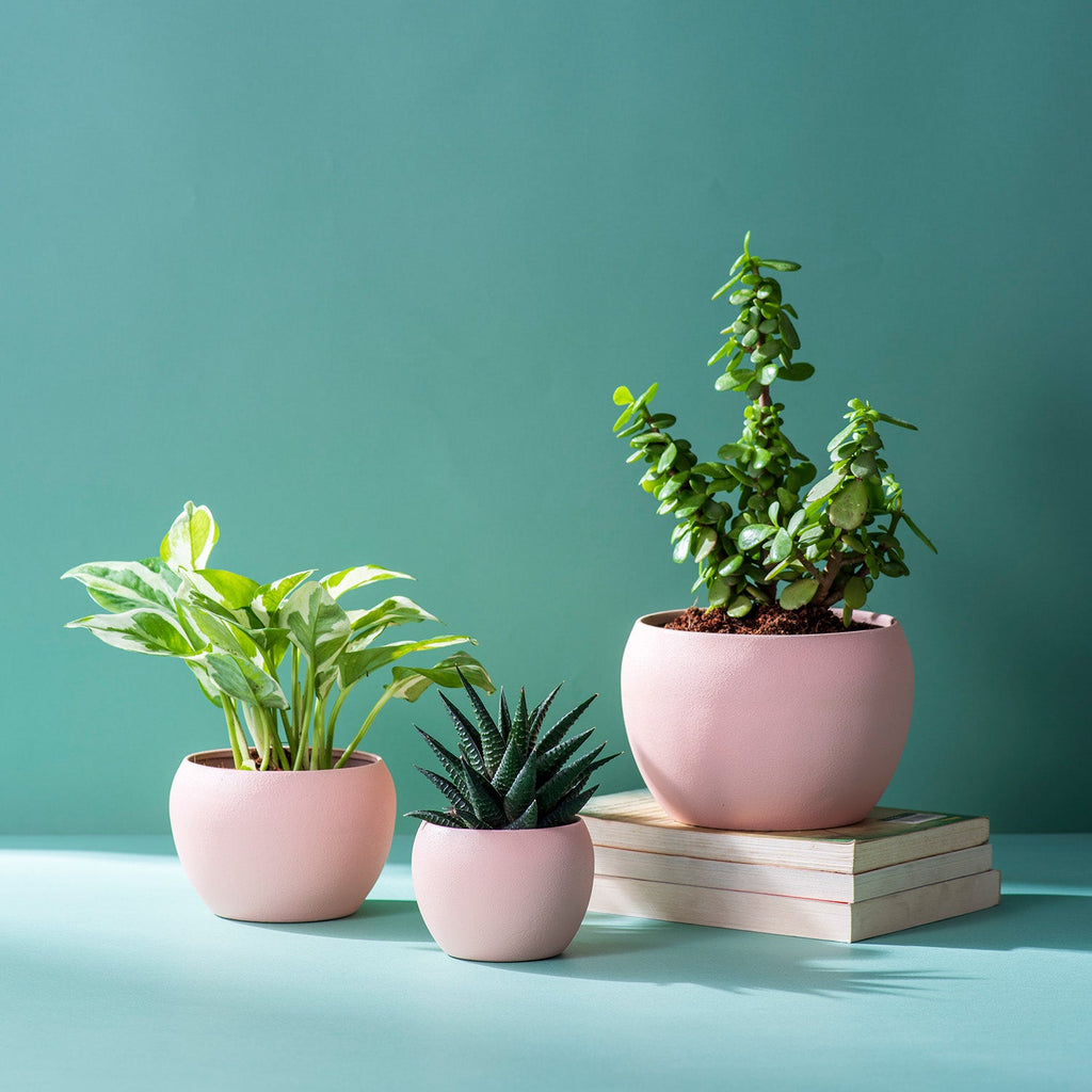 Chic Beige Metal Planters