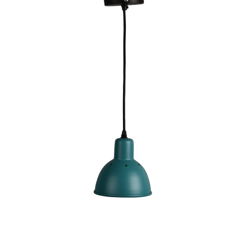 Hawk Pendant Light