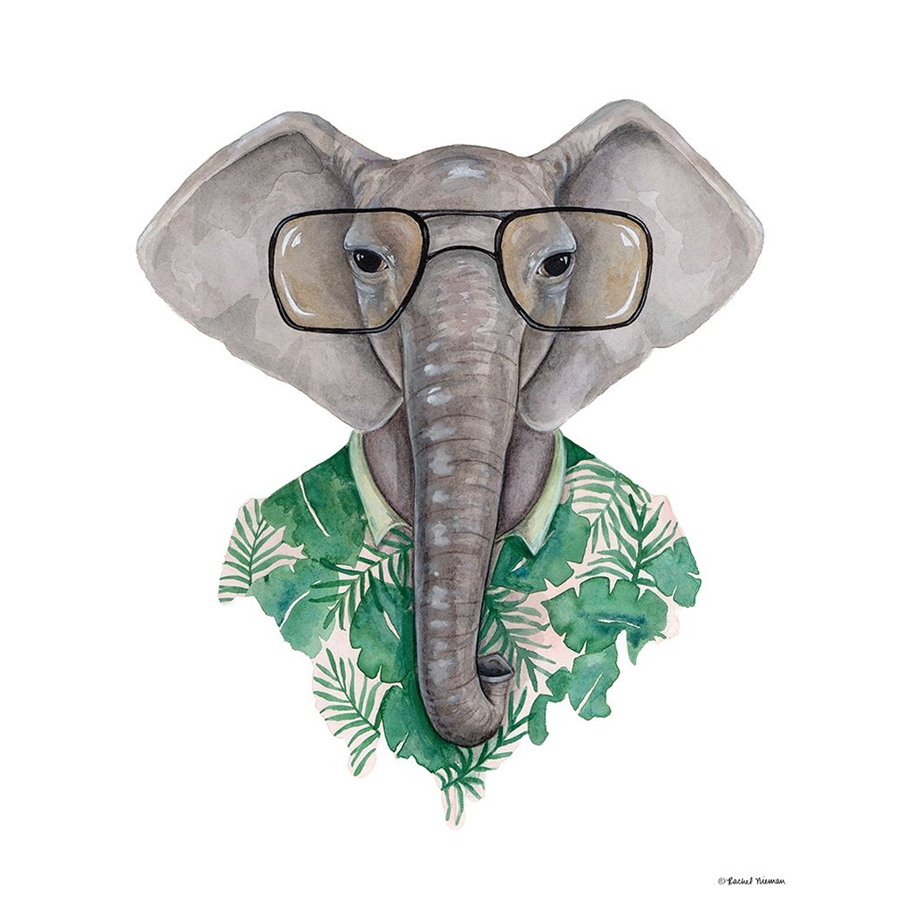 Elephant in Eye Glasses