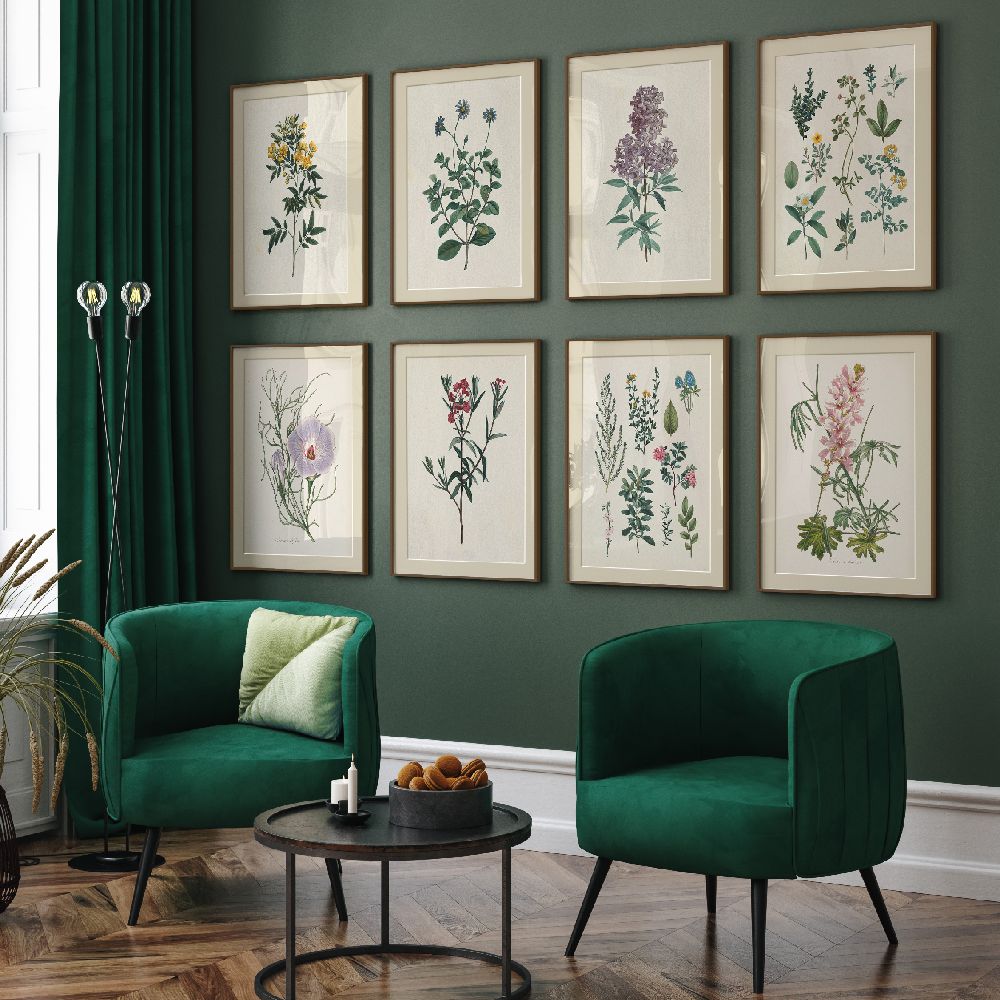 Gallery Wall Art: Antique Botanica | Set of 8