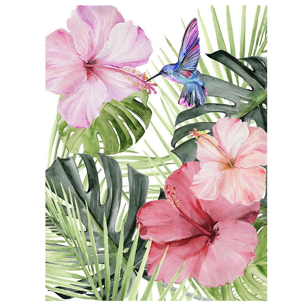 Hibiscus and Humming Bird