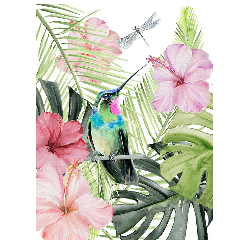 Hibiscus and Humming Bird II