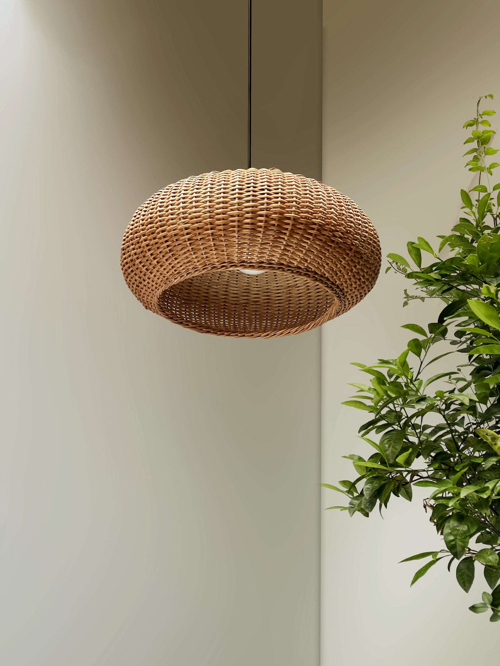 Akasa Pendant Lamp