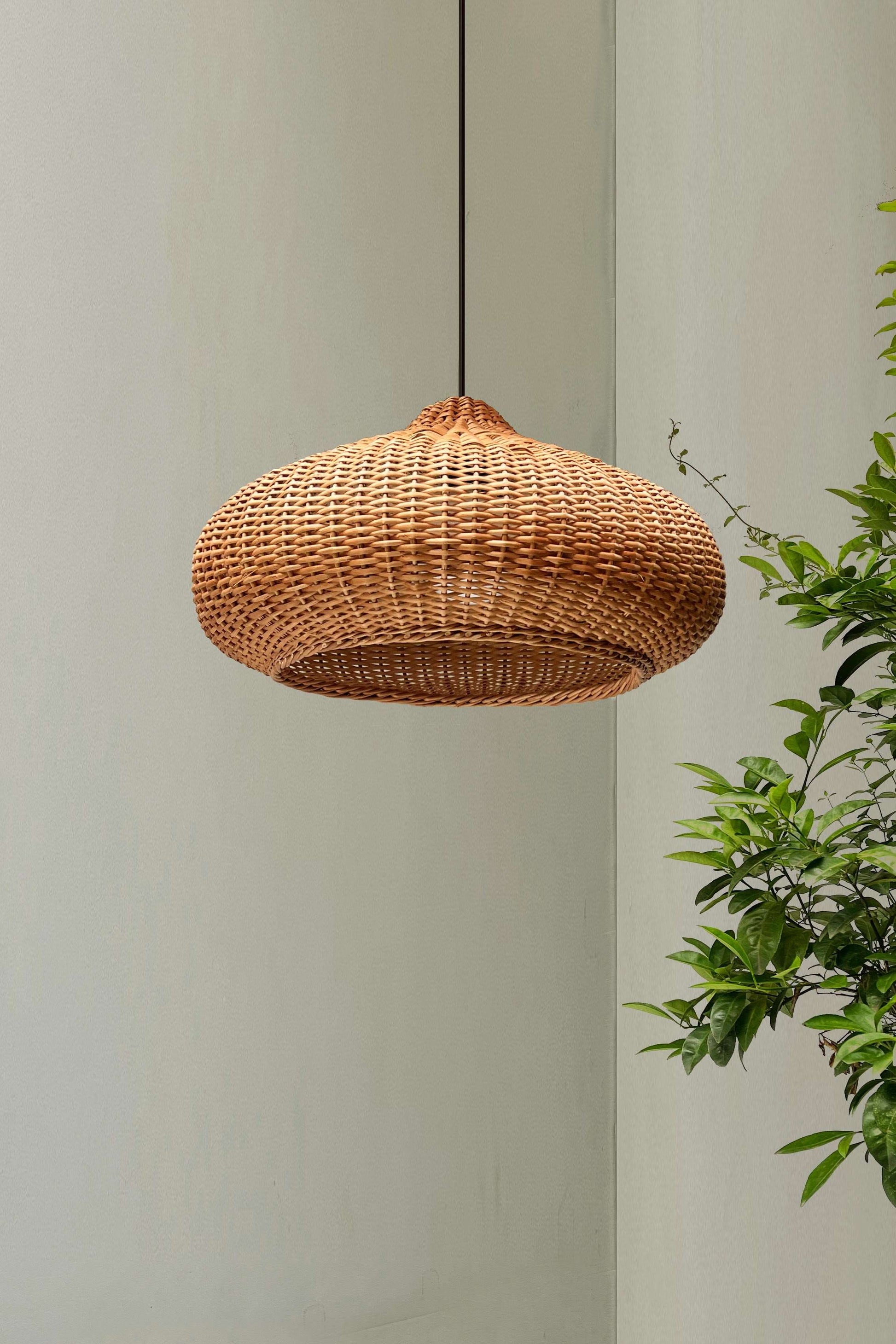 Akasa Pendant Lamp