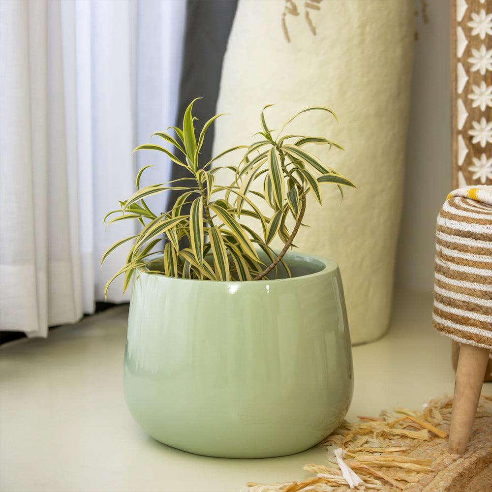 Duran Dora Outdoor Planter