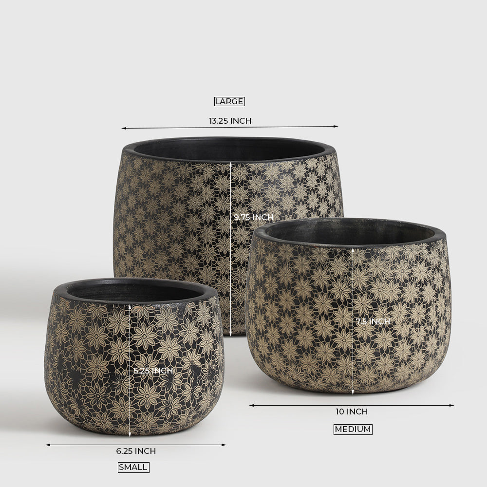 Earthvest Terracotta Pot - Set of 3