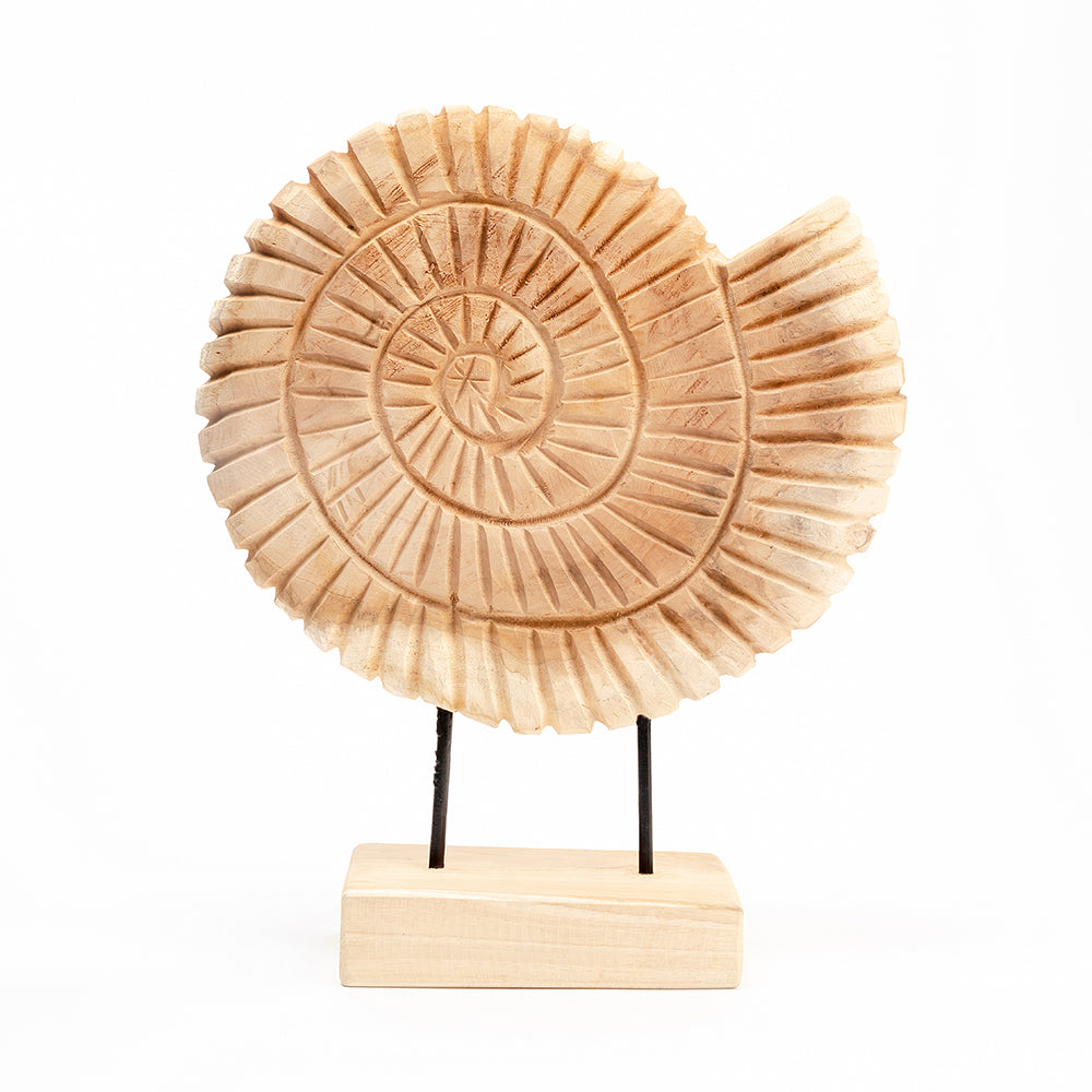Fossil Tide Teakwood Sculpture