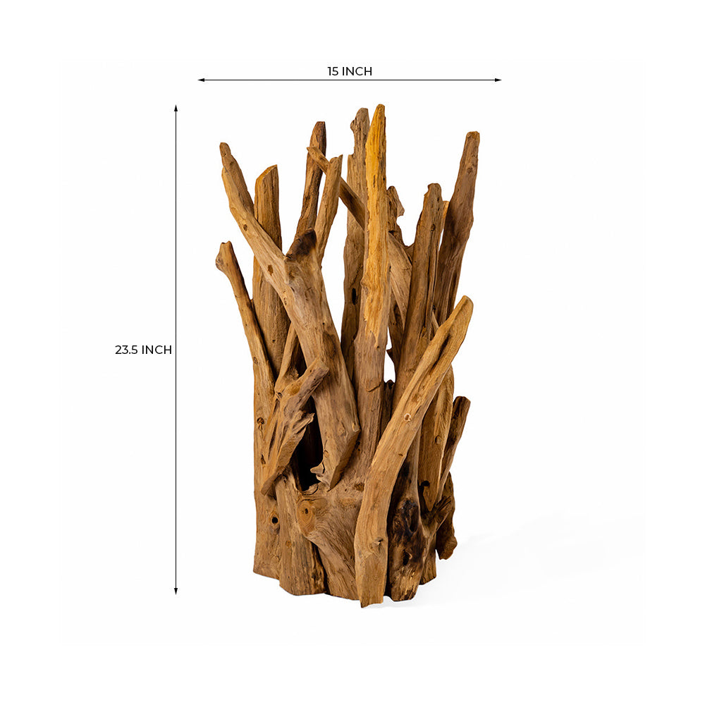 Nottingham Forest Teak Root Table Lamp