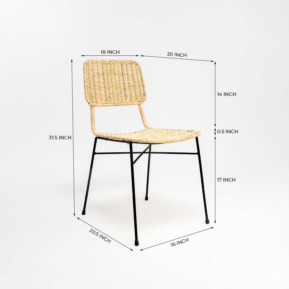 Dosly Rattan Pulut Iron Chair