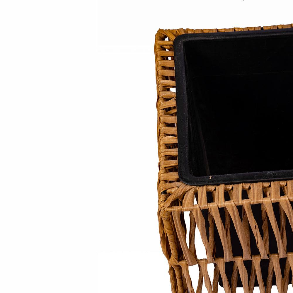 Fern Glen Oasis Planter