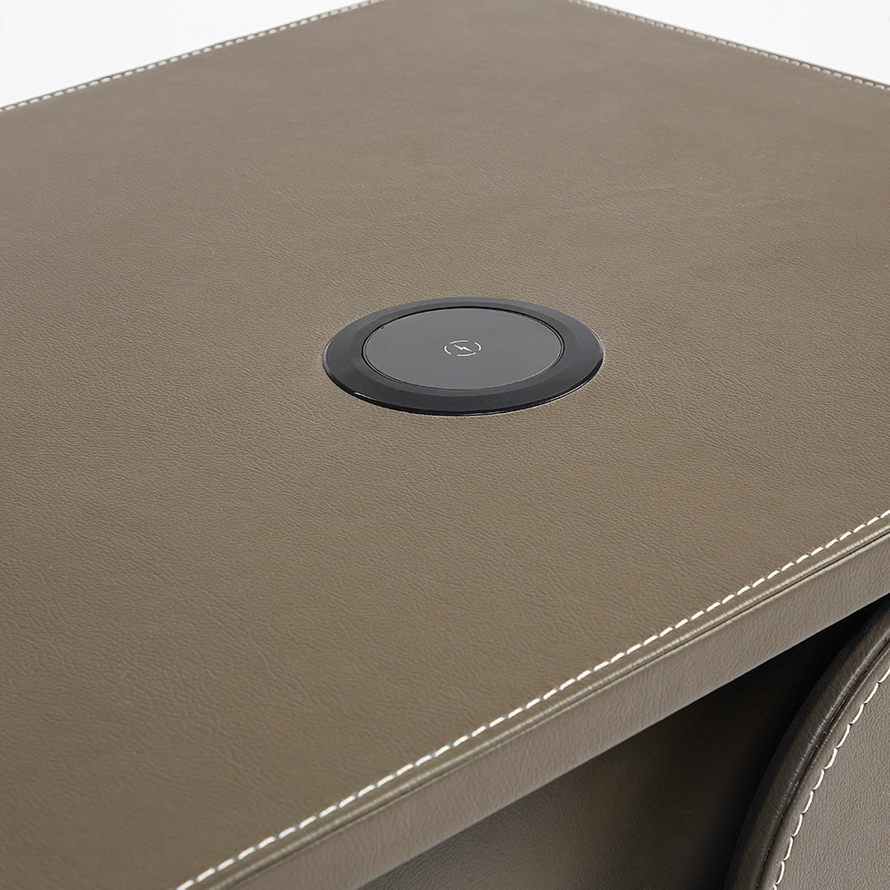 Bronze Tan Leather Bed