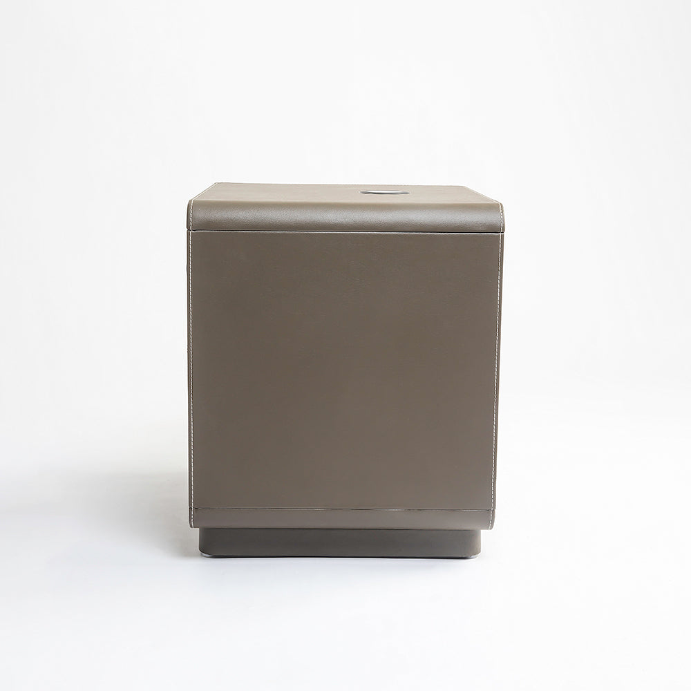 Bronze Tan Leather Bed