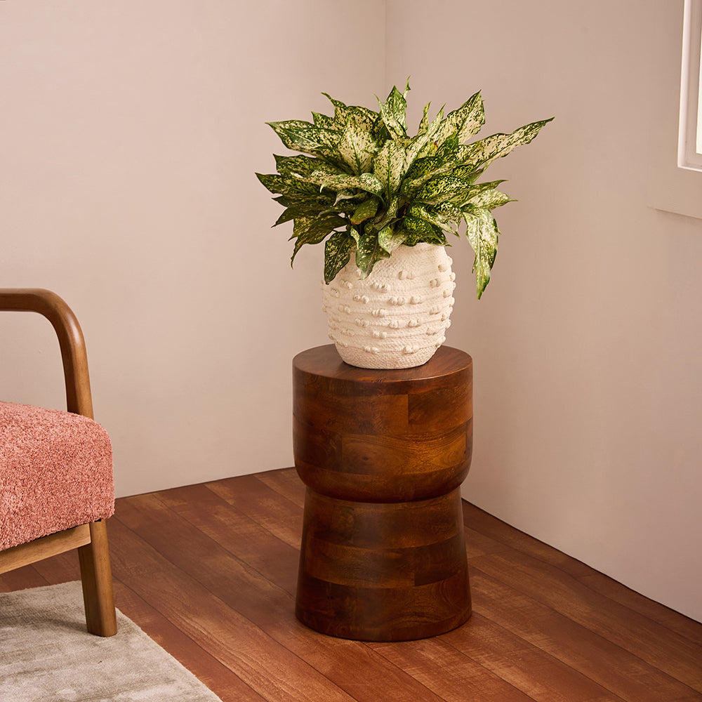 Beanie Mango Wood Accent Table & Stool