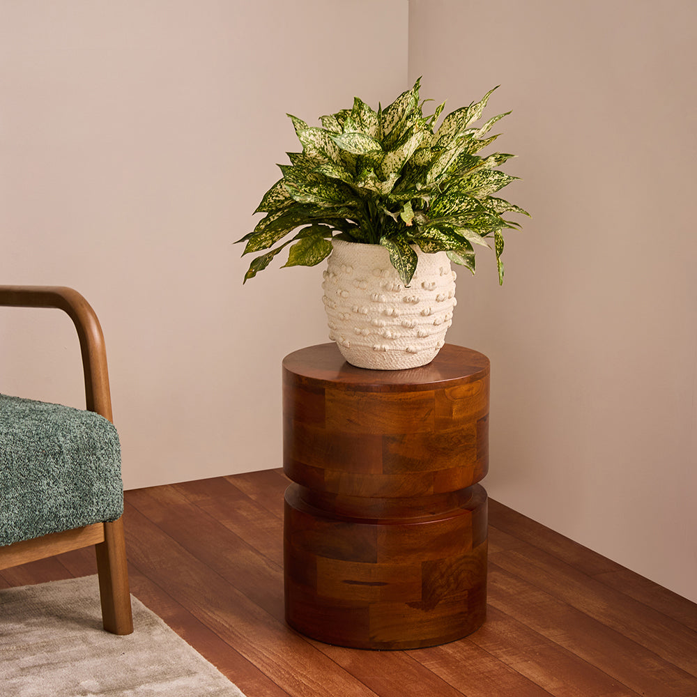 Prairie Mango Wood Accent Table & Stool