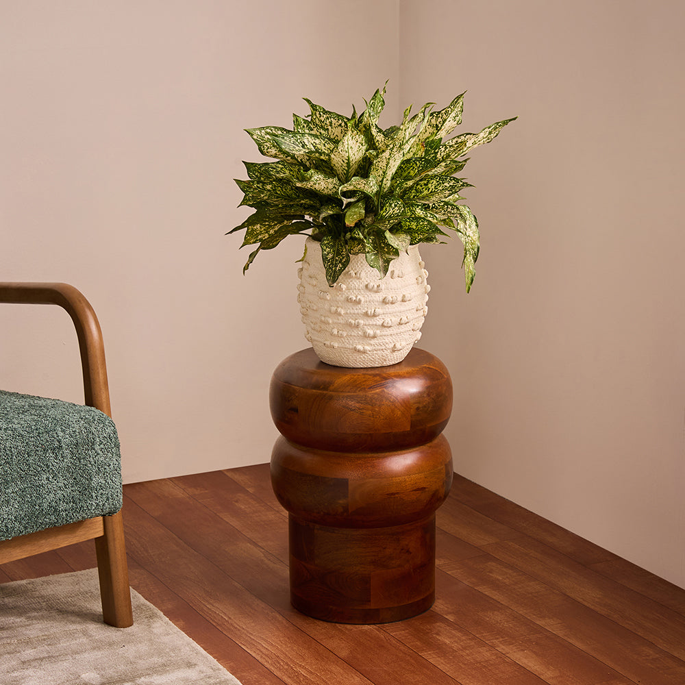 Oakspire Mango Wood Accent Table & Stool