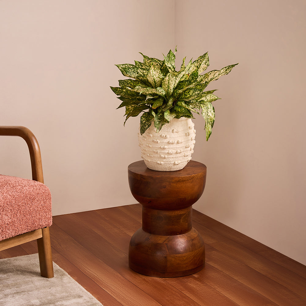 Lushow Mango Wood Accent Table & Stool