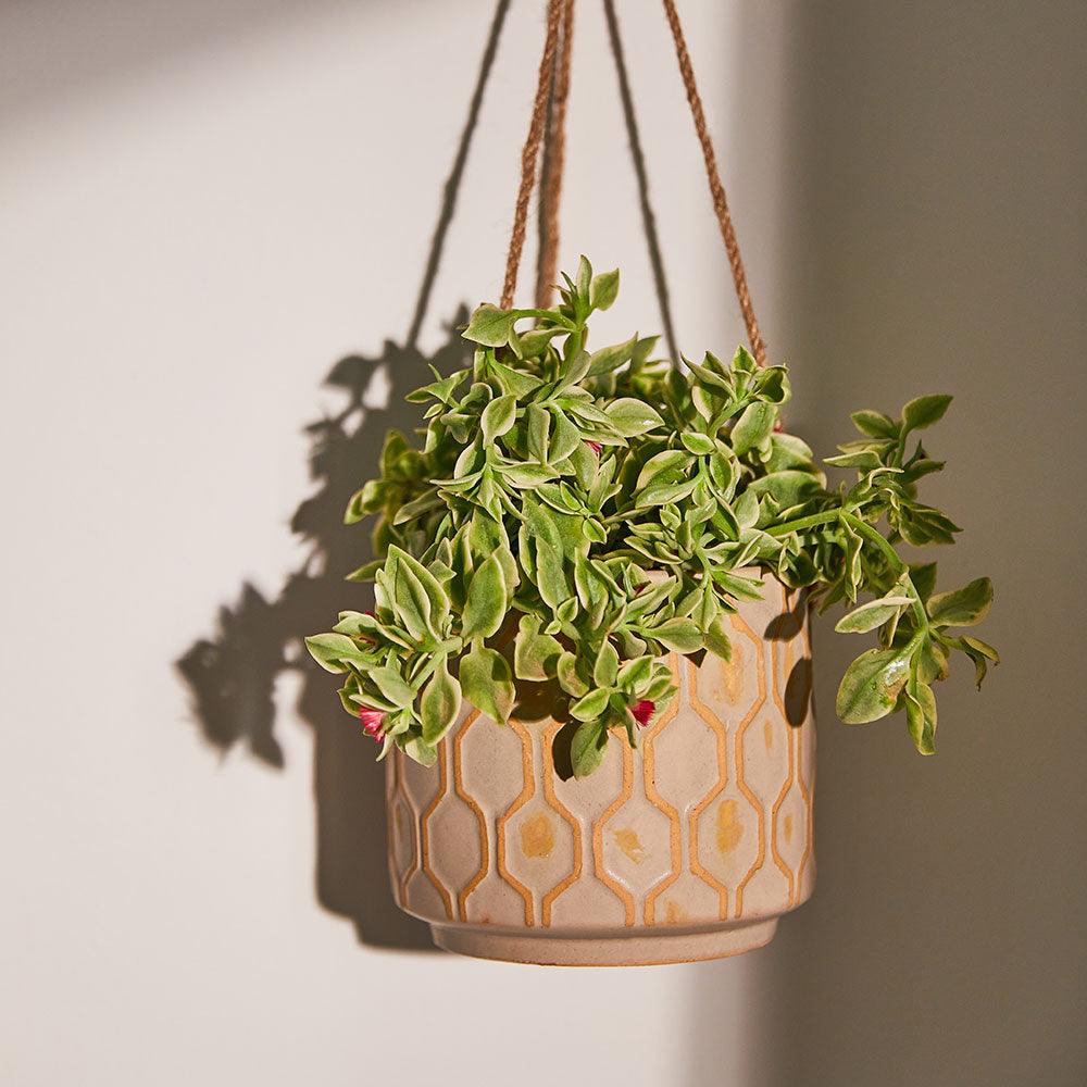 Avenue Allure Ceramic Hanging Pot