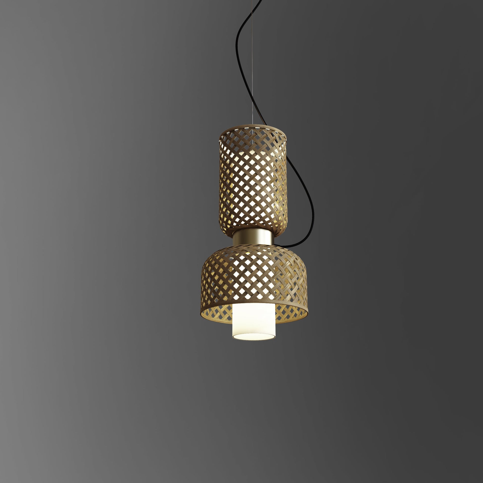 Metamorphosis Pendant Lamp H-012CB
