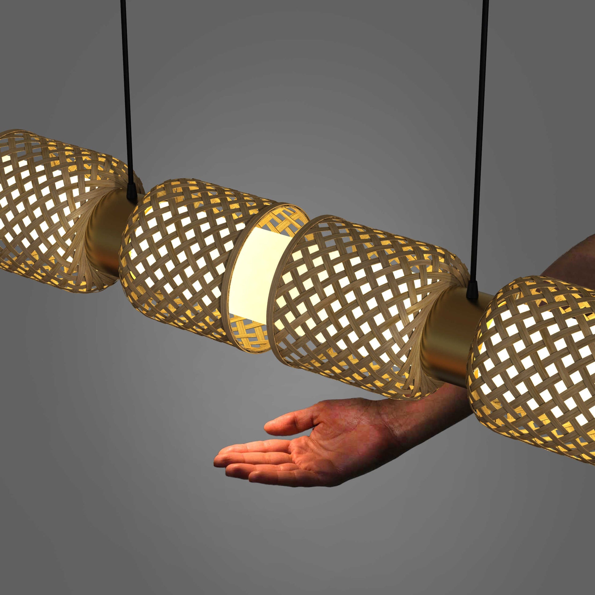 Metamorphosis Pendant Lamp H-01S