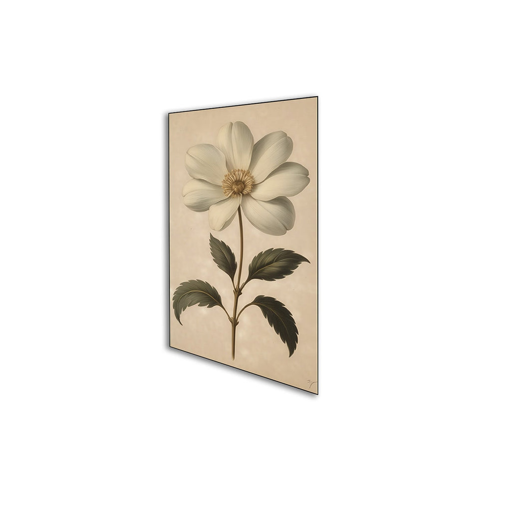 Delicate White Flower Canvas Series Set of 3 Printed Wall Painting