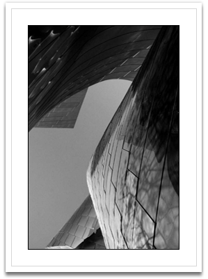 Ode to Gehry 7