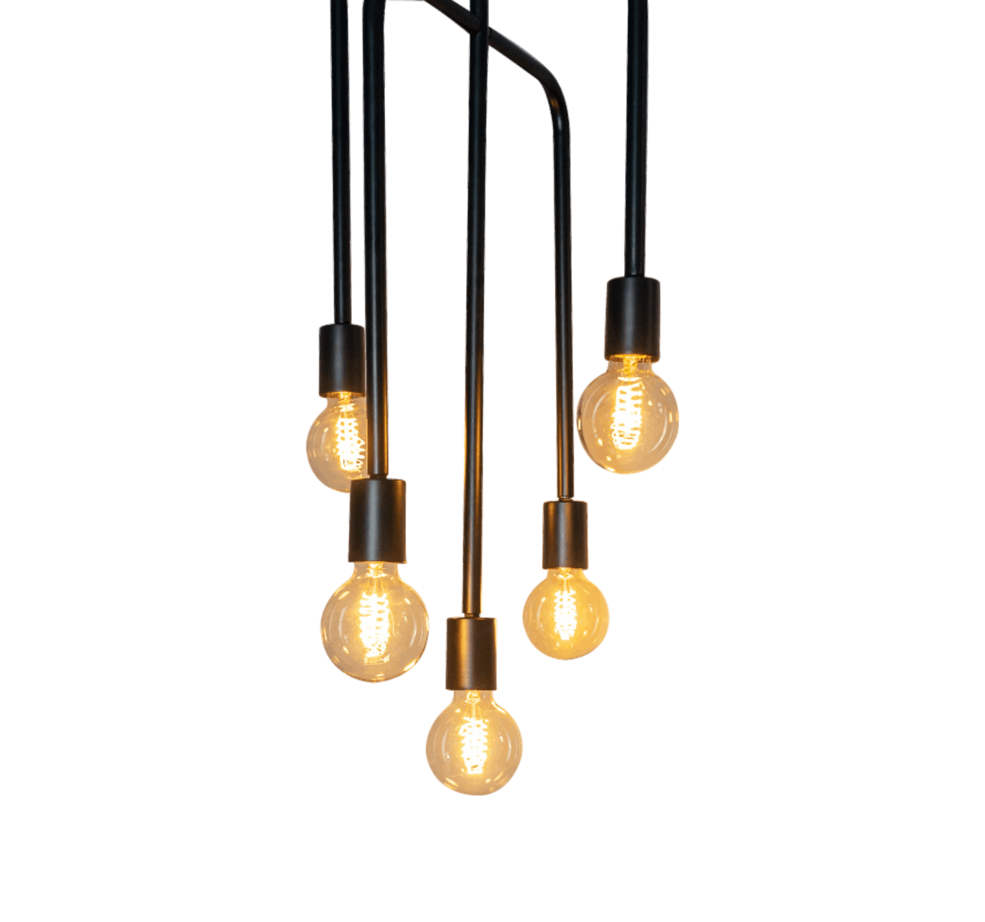 Blackbird 5 Light Chandelier