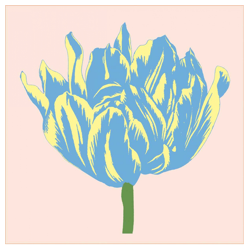 Soho Tulip I