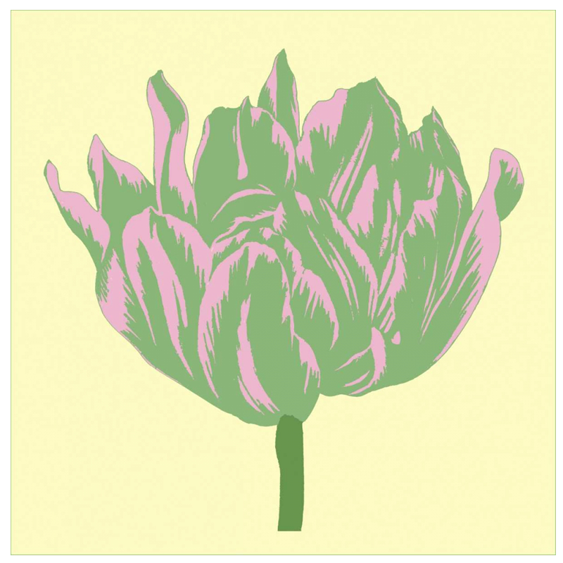 Soho Tulip IV