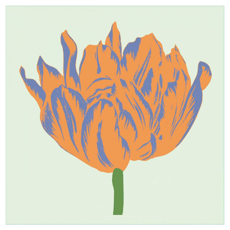 Soho Tulip III