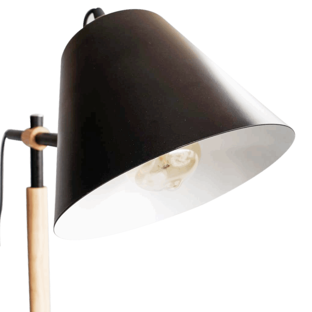 Black Floor Lamp Scandinavian Tall Standing Light