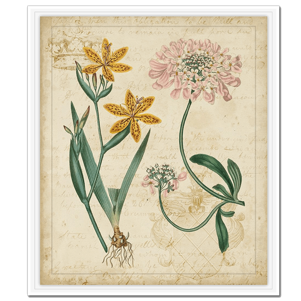 Botanical Repertoire I