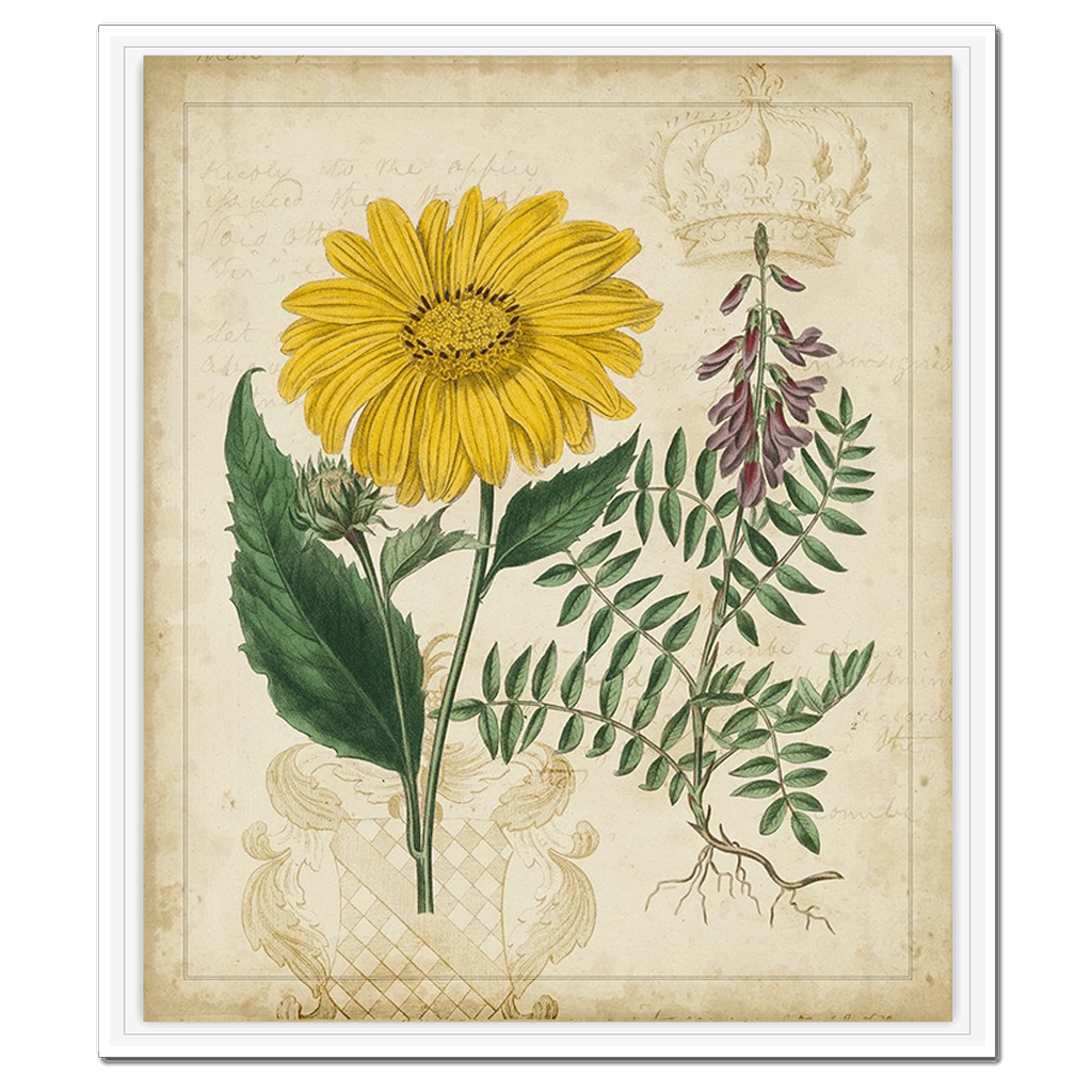 Botanical Repertoire III