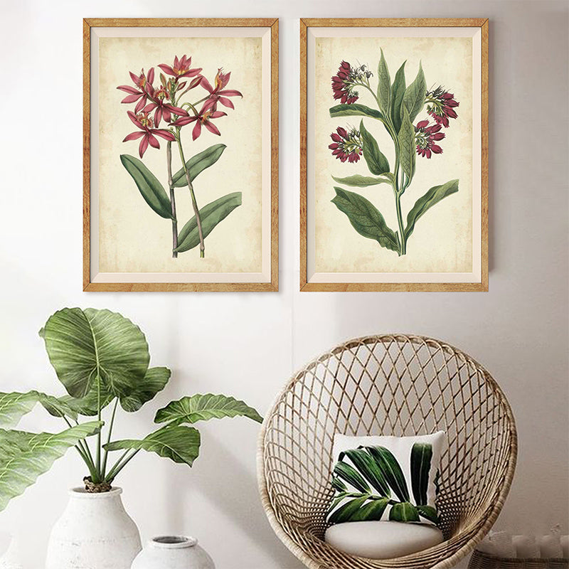 Botanical Display Set