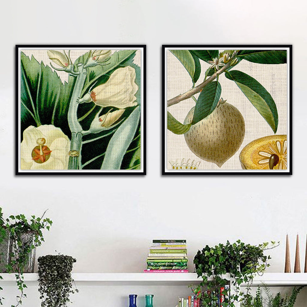 Cropped Turpin Tropicals Set