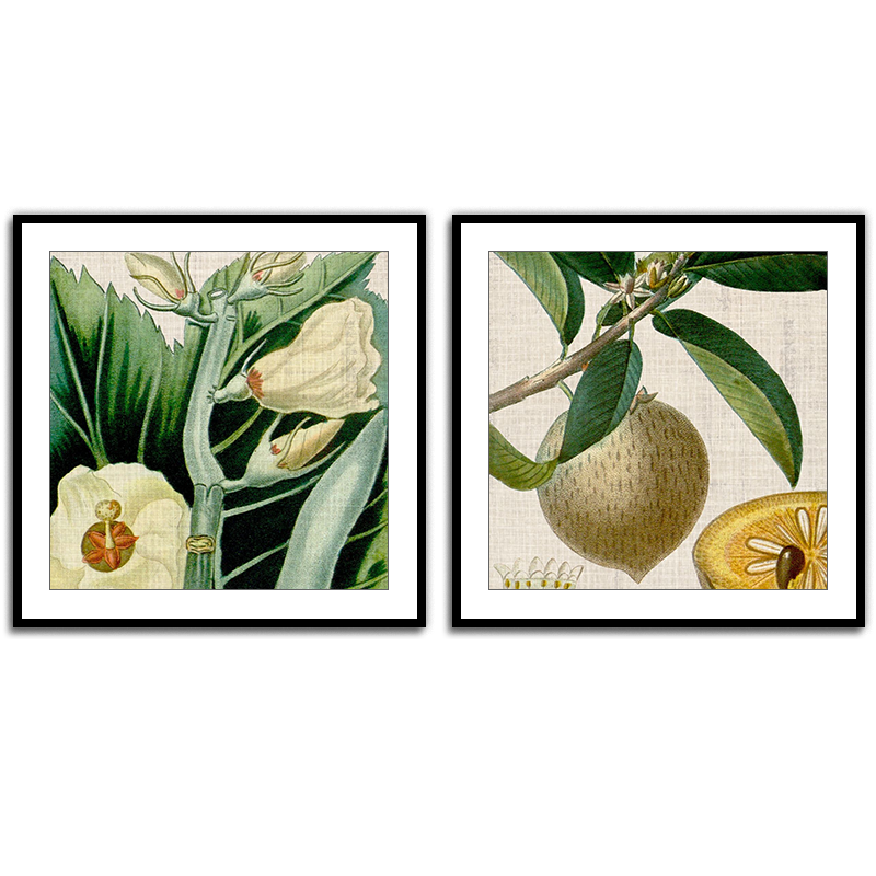 Cropped Turpin Tropicals Set