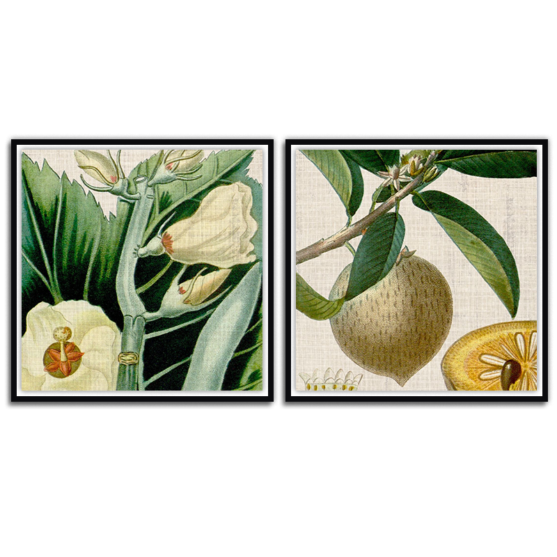 Cropped Turpin Tropicals Set