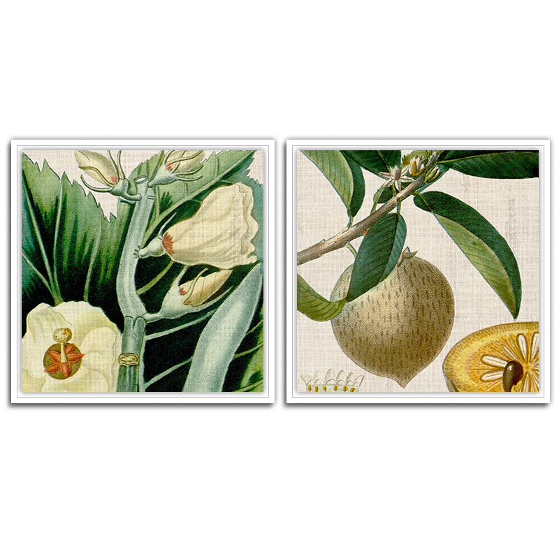 Cropped Turpin Tropicals Set