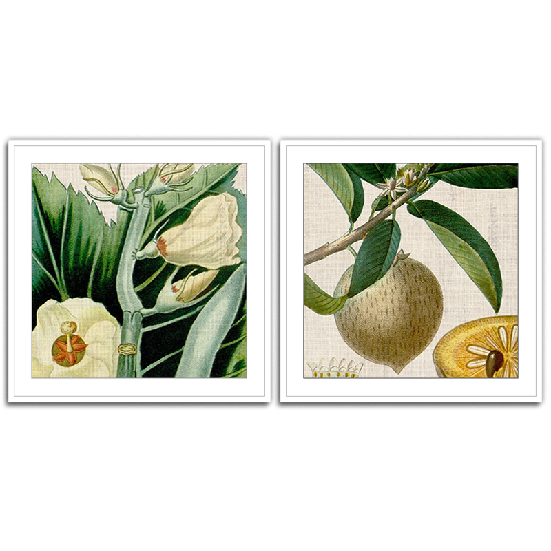 Cropped Turpin Tropicals Set