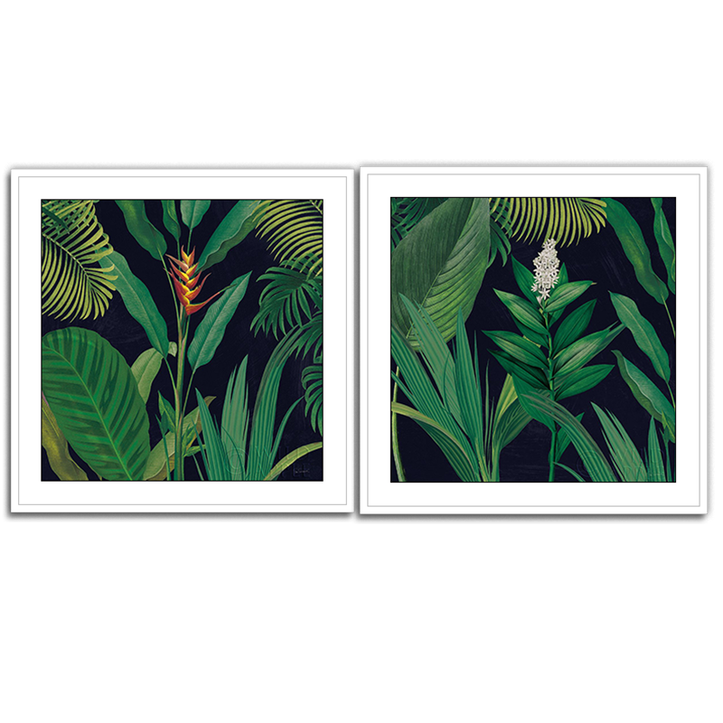 Dramatic Tropical Set