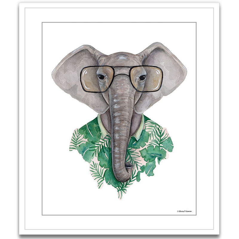 Elephant in Eye Glasses