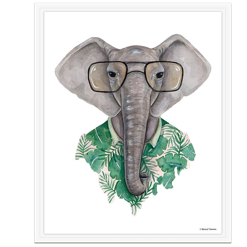 Elephant in Eye Glasses