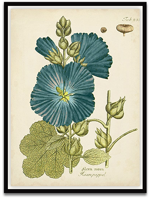 Eloquent Botanical IV