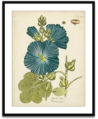 Eloquent Botanical IV