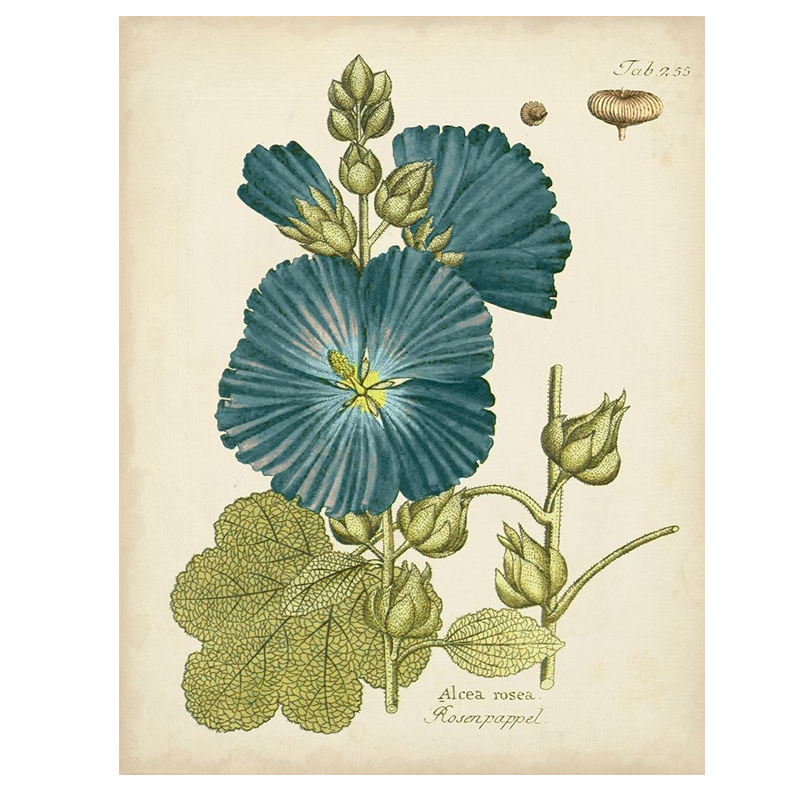 Eloquent Botanical IV