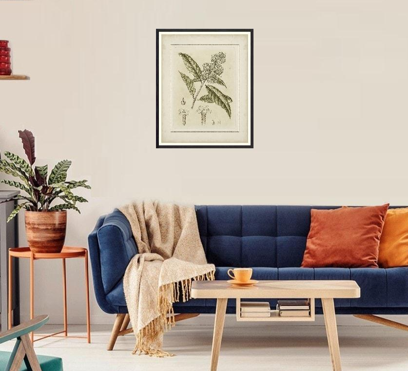 Small Tinted Botanical II