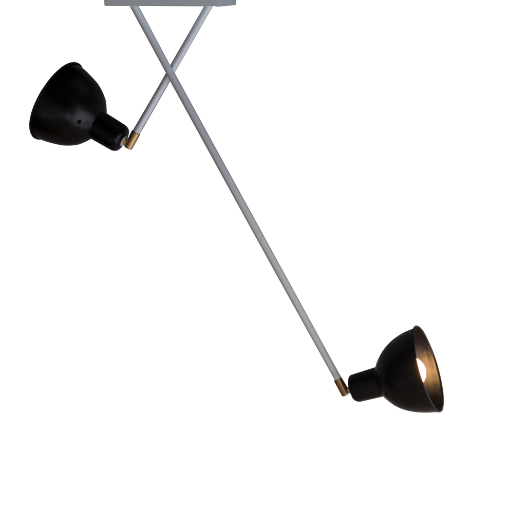 Scandi Two-Arm Ceiling Light Fixture