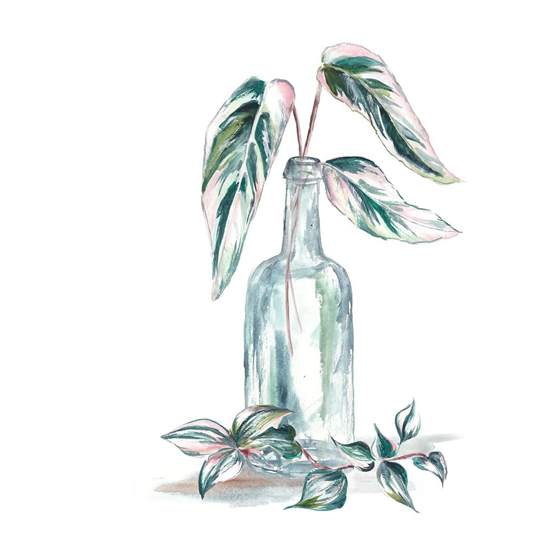 Island Tropics Frond in Bottle III