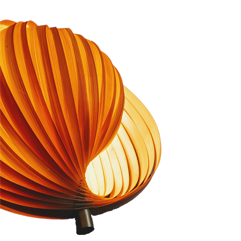 Sea Shell Lamp